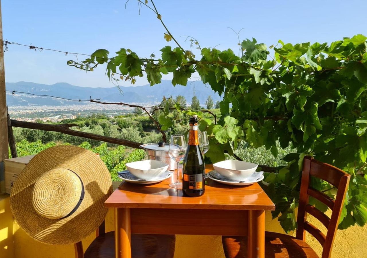 Vesuvio Inn Guest House E Wine Experience Boscotrecase Eksteriør bilde