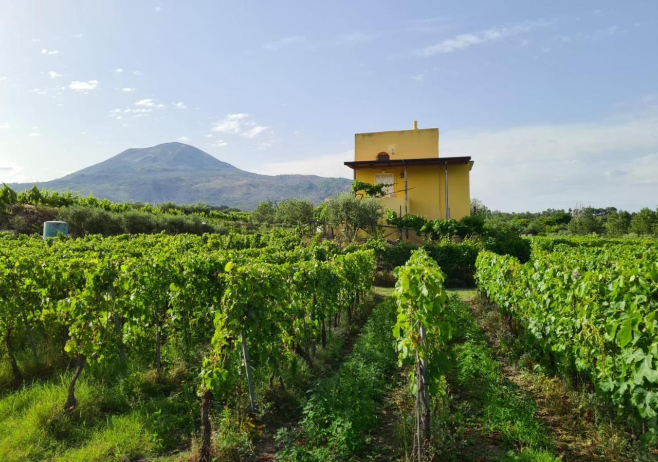 Vesuvio Inn Guest House E Wine Experience Boscotrecase Eksteriør bilde