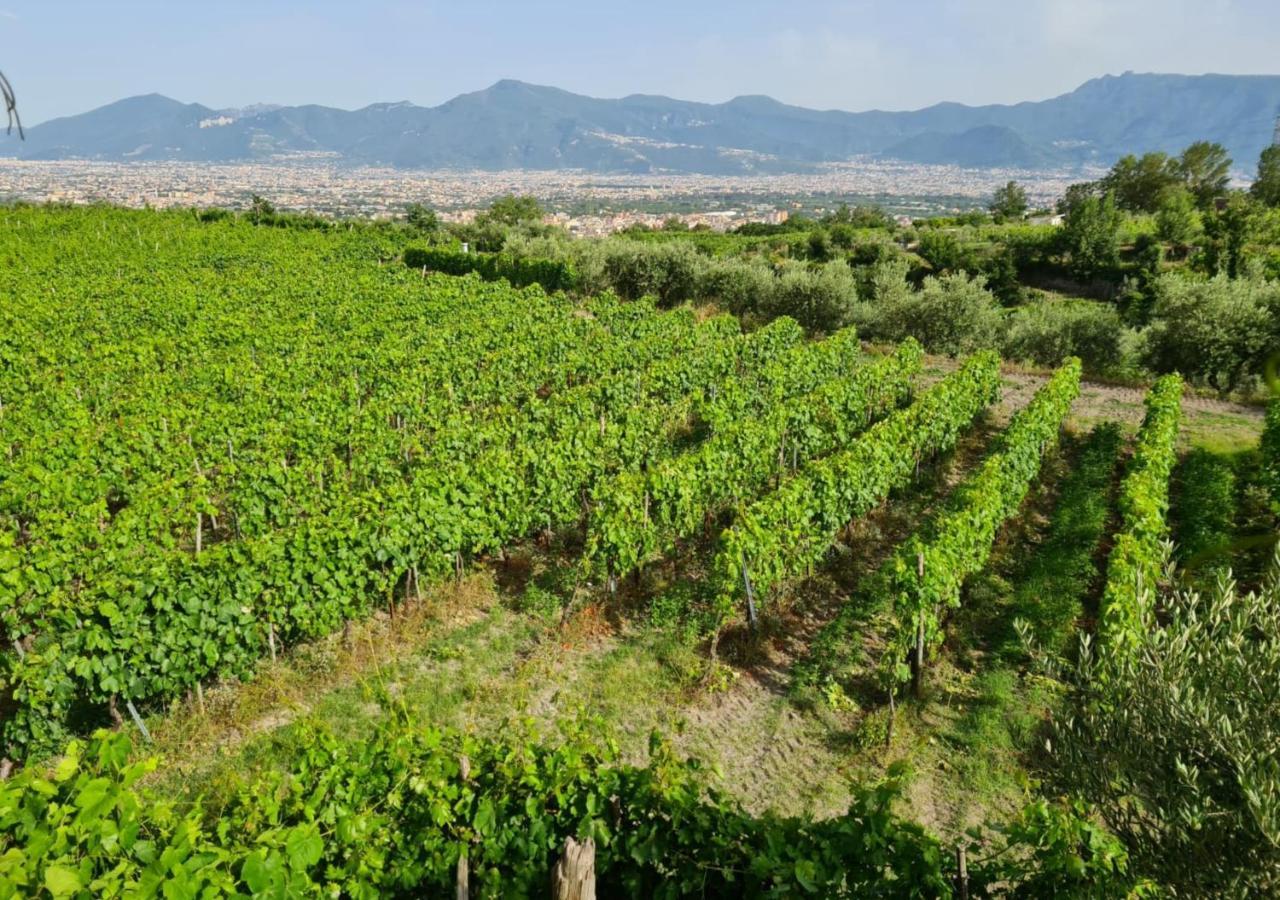 Vesuvio Inn Guest House E Wine Experience Boscotrecase Eksteriør bilde
