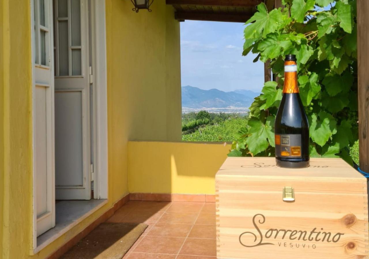 Vesuvio Inn Guest House E Wine Experience Boscotrecase Eksteriør bilde