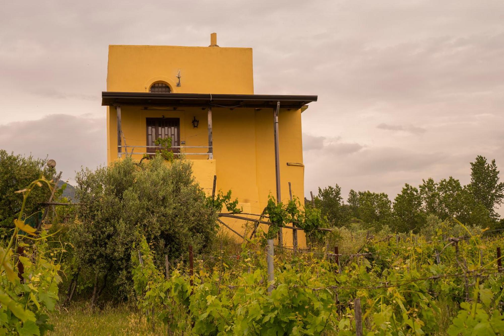 Vesuvio Inn Guest House E Wine Experience Boscotrecase Eksteriør bilde