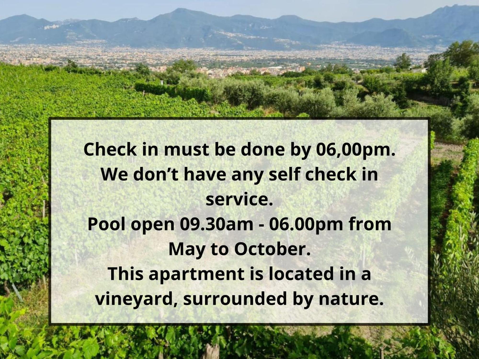 Vesuvio Inn Guest House E Wine Experience Boscotrecase Eksteriør bilde
