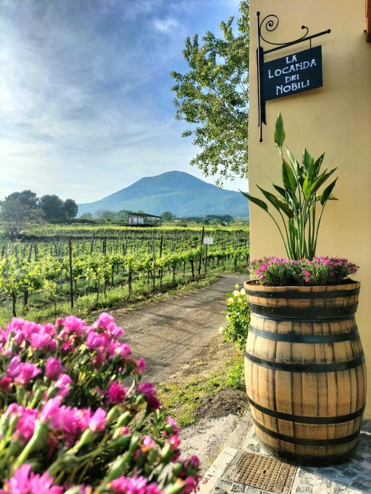 Vesuvio Inn Guest House E Wine Experience Boscotrecase Eksteriør bilde