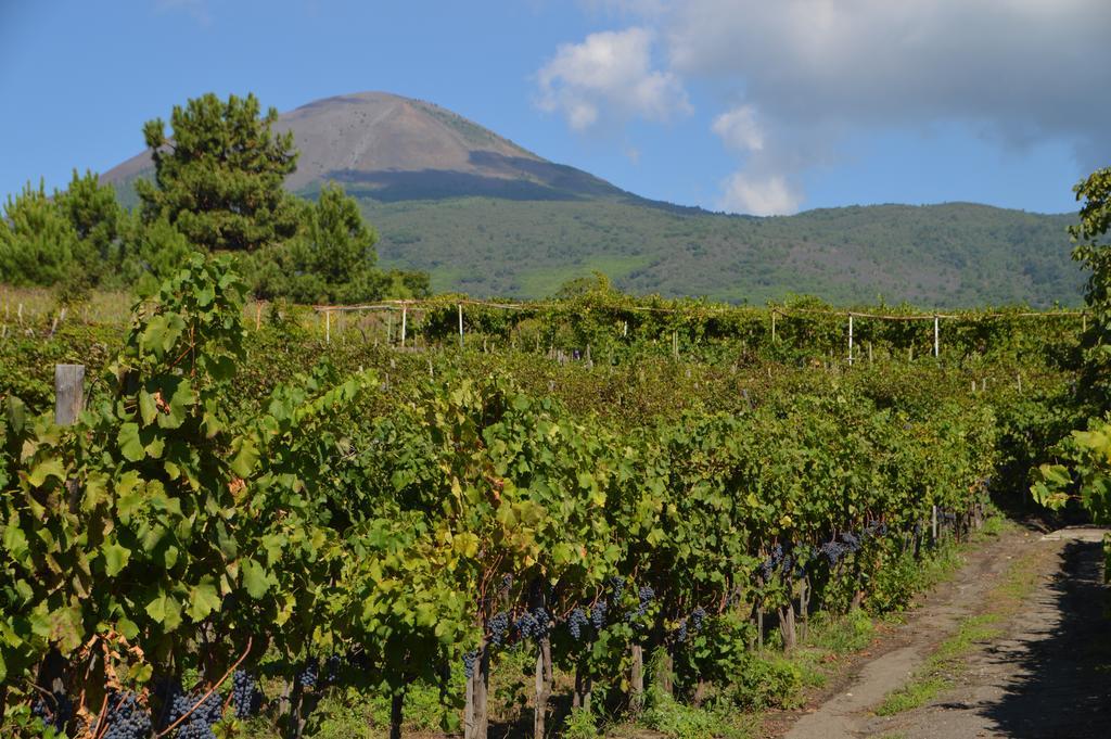 Vesuvio Inn Guest House E Wine Experience Boscotrecase Eksteriør bilde