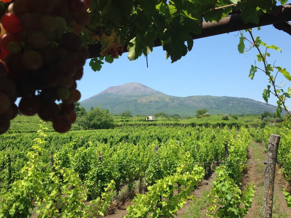 Vesuvio Inn Guest House E Wine Experience Boscotrecase Eksteriør bilde