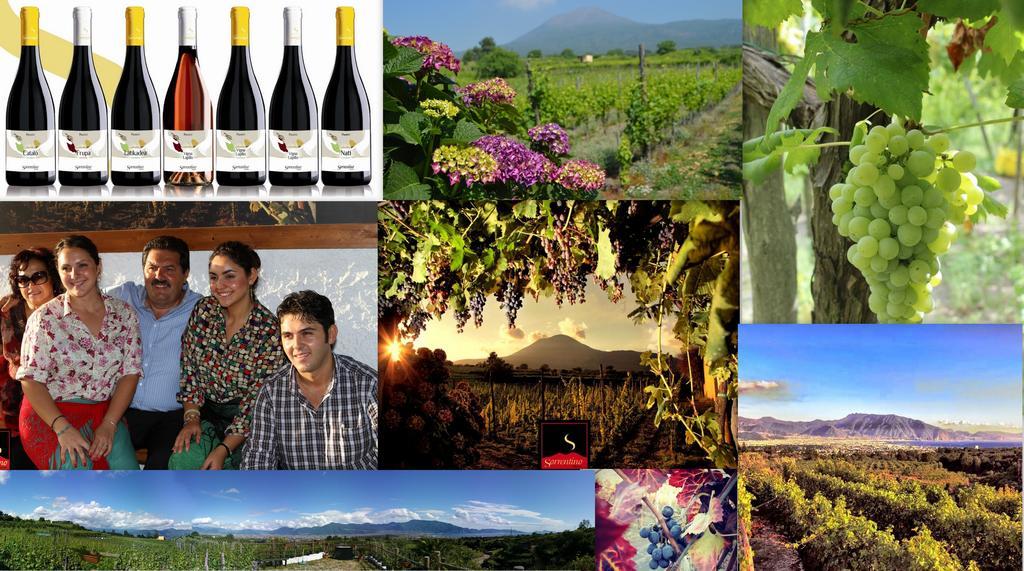 Vesuvio Inn Guest House E Wine Experience Boscotrecase Eksteriør bilde